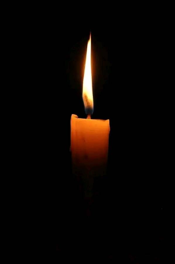 Callie Mohler Car Accident Toronto, ON Death, Obituary